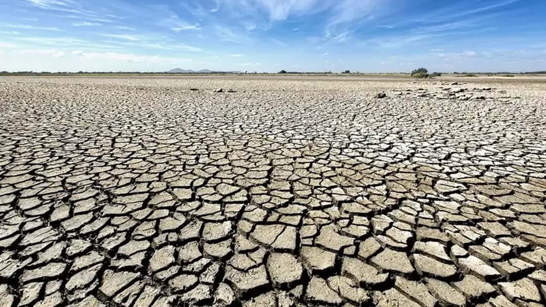 Article heading image for Queensland’s Drought Declaration Ends For South-East LGAs