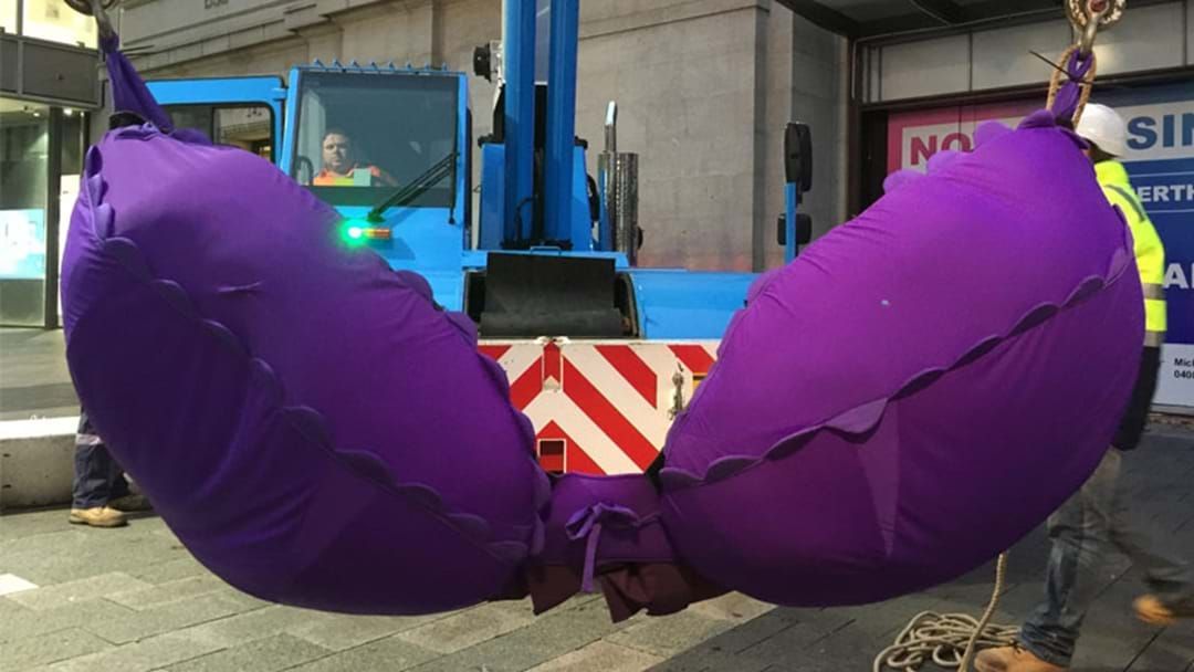 Article heading image for There's A Gigantic Purple Bra Just Hanging In The #Perth Sky 