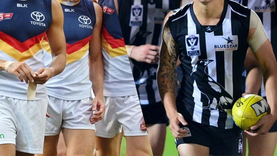Article heading image for AFL Considering League-Wide Reserves Competition