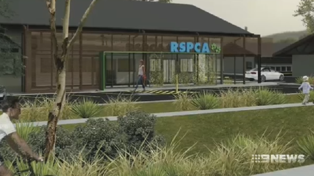 Article heading image for Two Years in the Making: A New RSPCA Shelter for Toowoomba