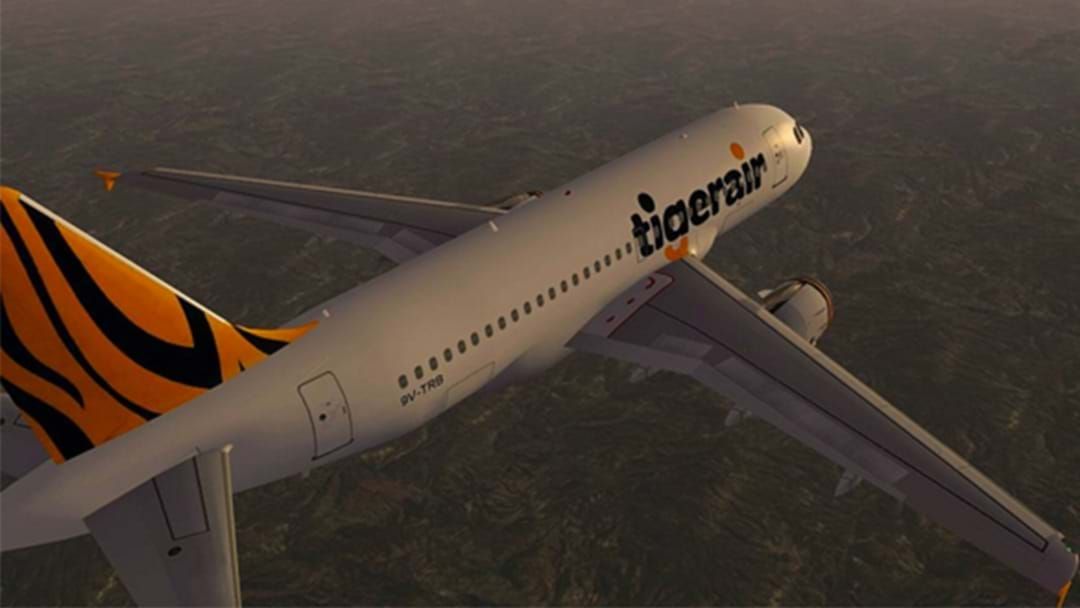 Article heading image for Tigerair Forced To Cancel Flights Effective Immediately