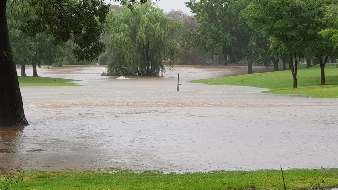 Article heading image for Riverina spared from the worst of weekend flooding