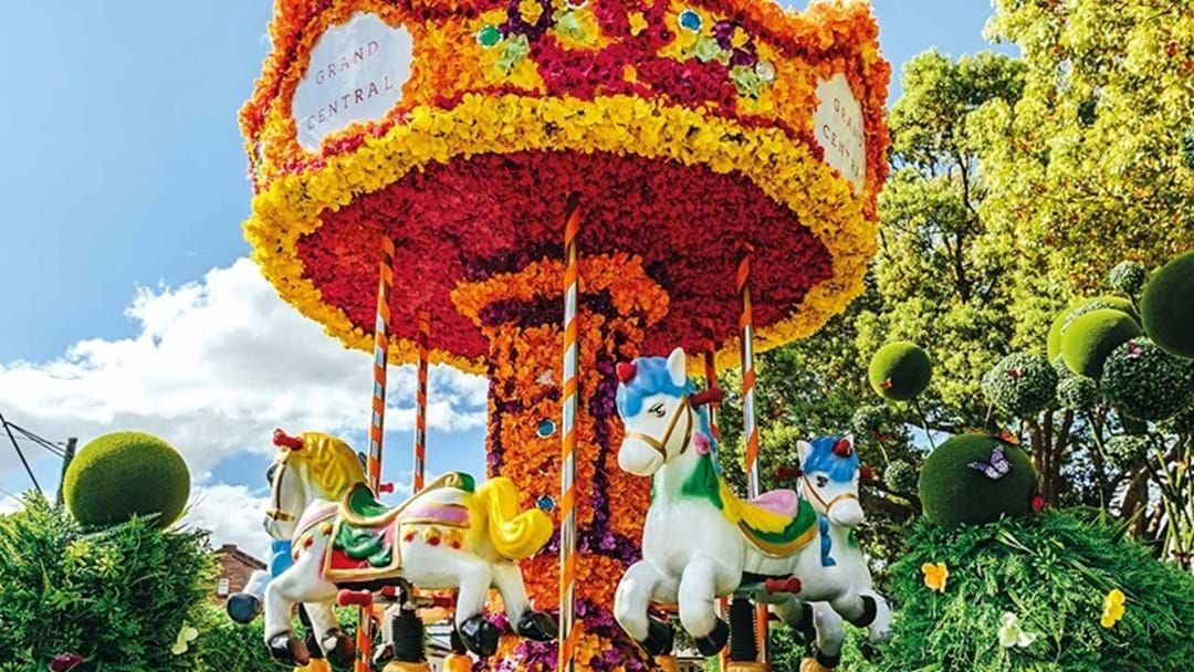 Article heading image for Toowoomba’s Carnival of Flowers Blooms Bright