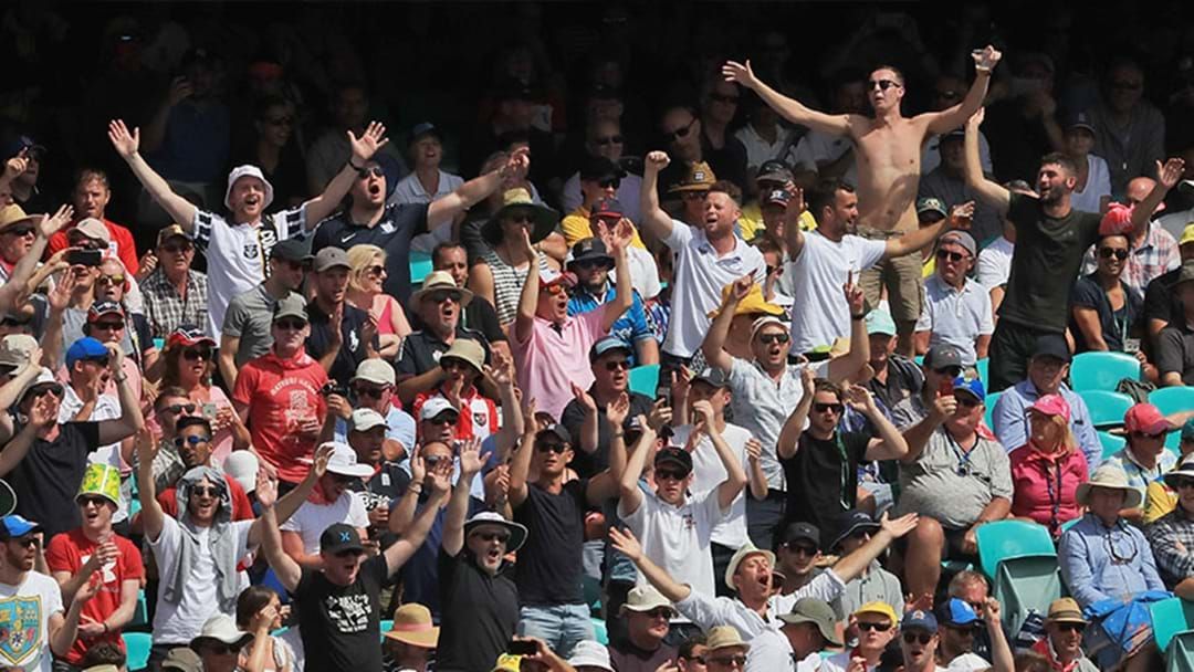 Article heading image for The Barmy Army’s Funny Response To England Winning The ODI Series