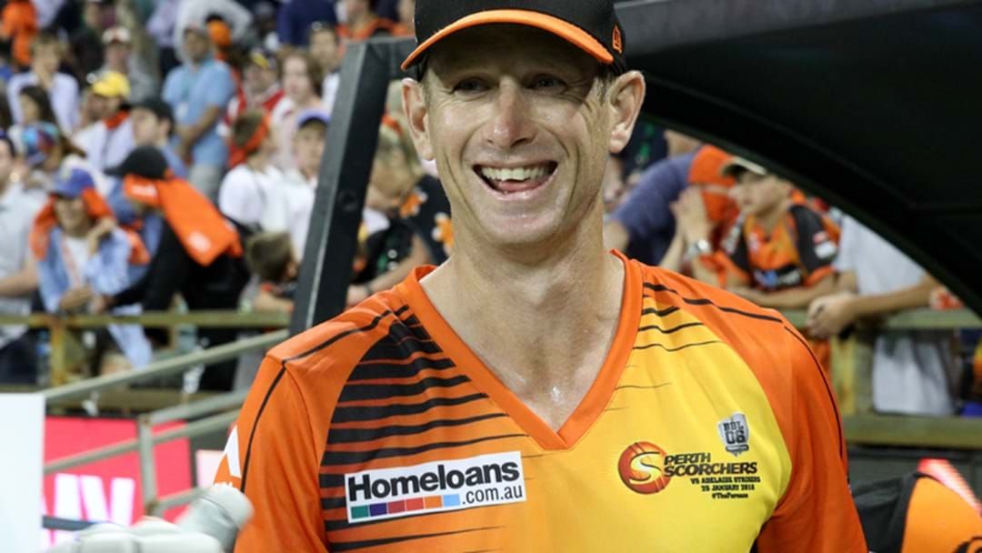 Article heading image for Adam Voges New Coach Of WA