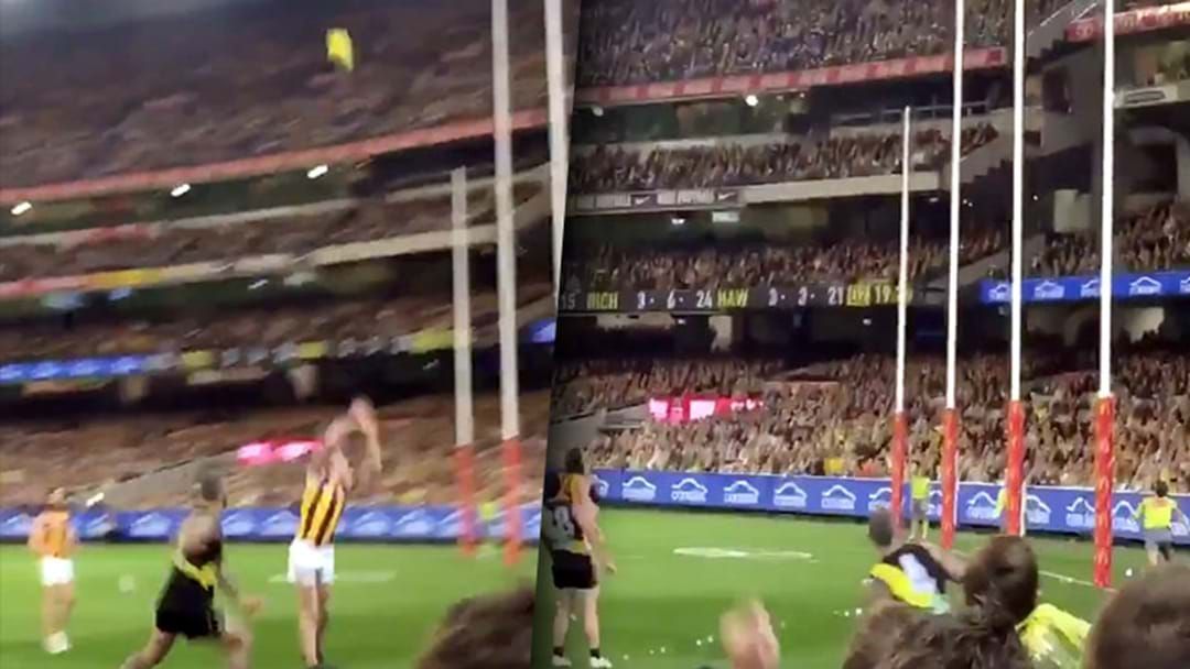Article heading image for A Richmond Fan Got An Unbelievable Video Of Dusty Martin’s Goal Last Night