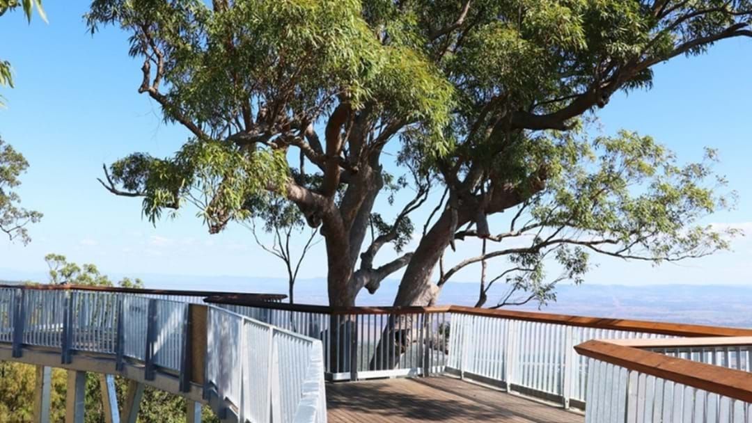 Article heading image for Mount Archer Broadwalk Awarded Regional Project Of The Year