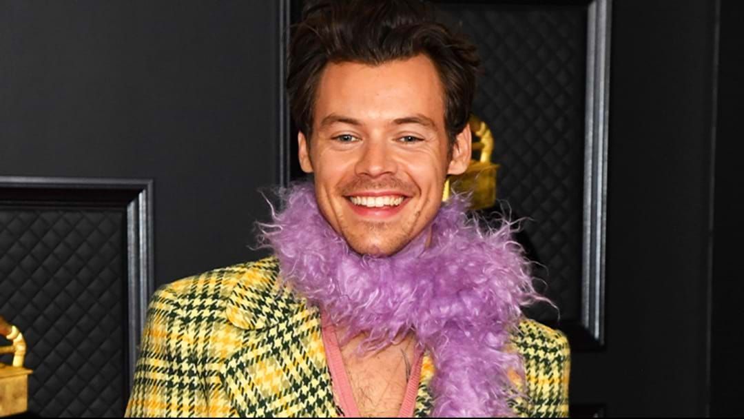 Article heading image for Harry Styles Called Out A Fan's Ex Named Josh: Do You Know A Good Or Bad Josh? 