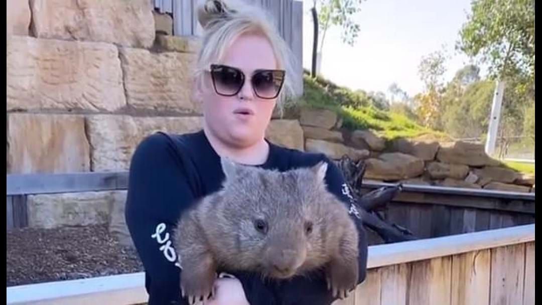 Article heading image for Rebel Wilson Under Fire From Animal Activists