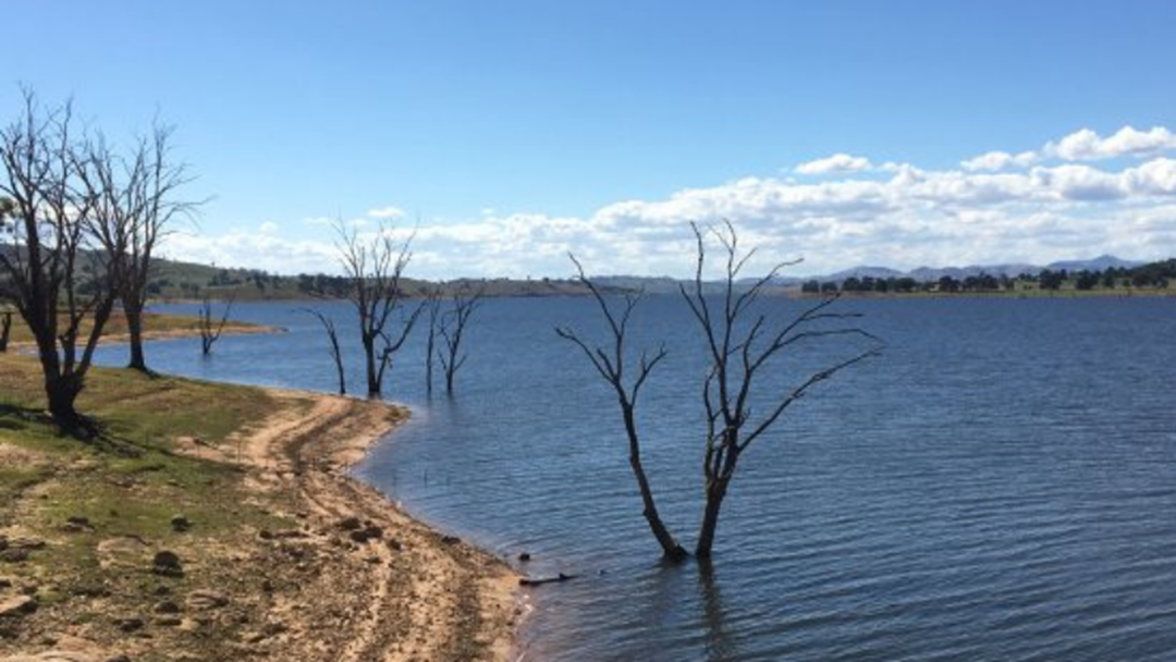 Article heading image for Lake Hume Clear Of Blue-Green Algae As Red Alert Lifted