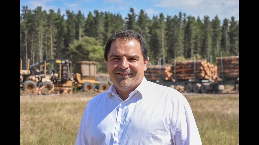 Article heading image for PASIN Joins Inquiry Into Timber Supply Chain