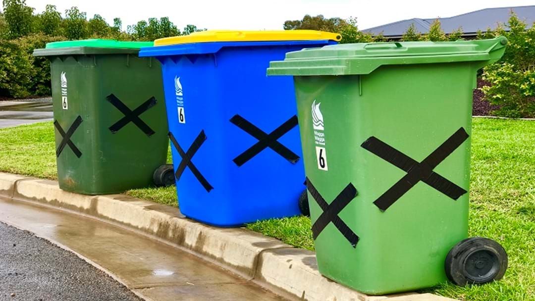 Article heading image for Angry Wagga Residents 'Cross' Their Bins