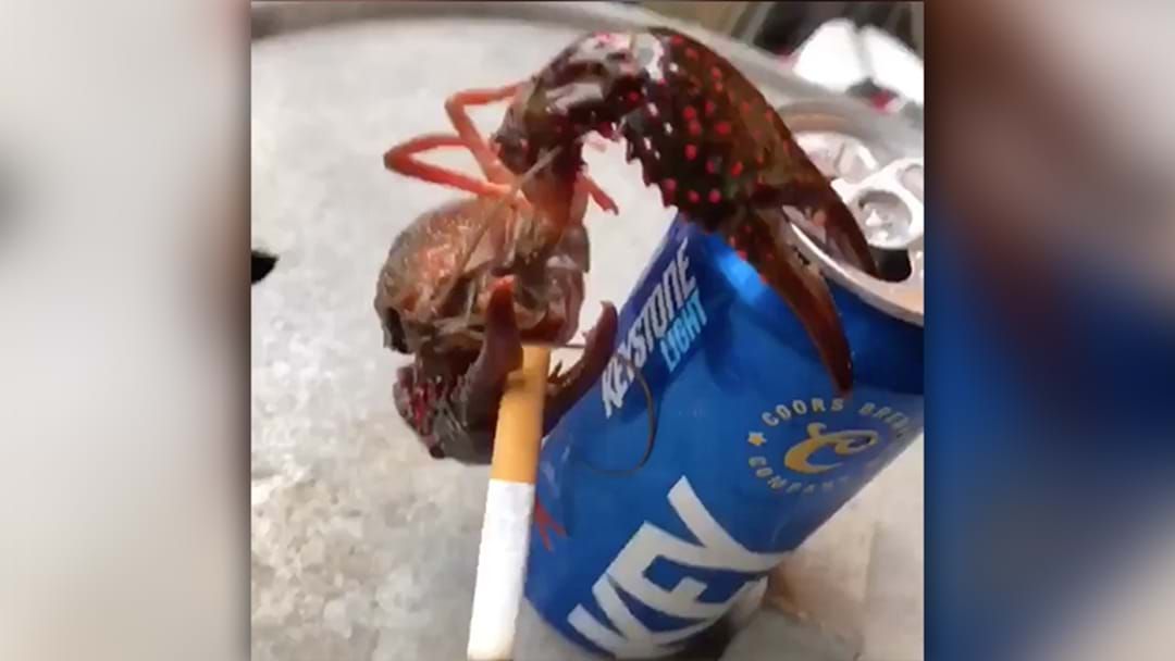 Article heading image for Crayfish Smokes A Durry While Hanging Off A Beer Can