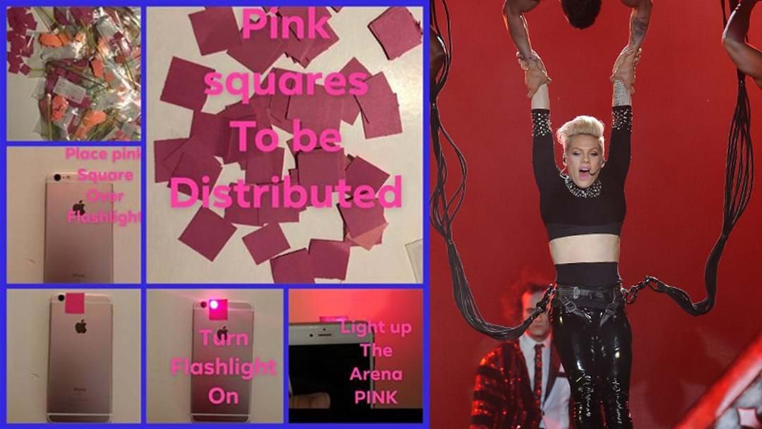 Article heading image for Another Perth P!nk Fan Is Going Next Level To Show Her Love
