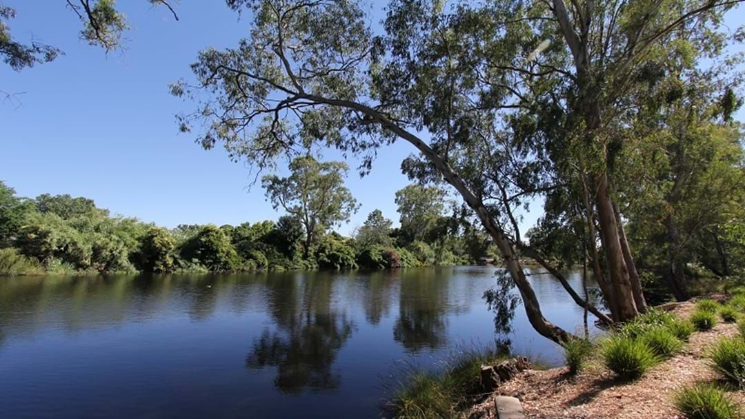 Article heading image for Murray-Darling Compliance Under the Microscope