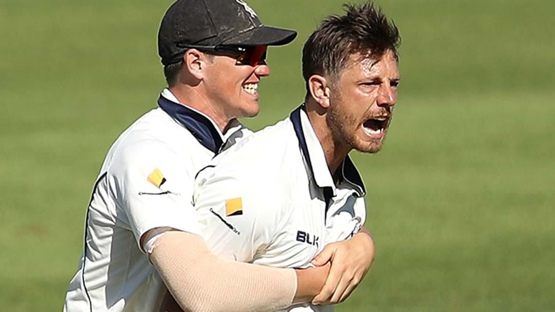 Article heading image for James Pattinson Has Absolutely Torn Apart Queensland In The Sheffield Shield