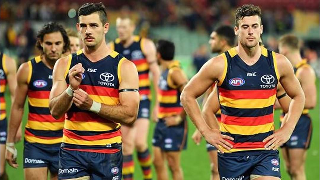 Article heading image for Roo & Ditts Confront Tex On The Crows' Lack Of Fight And Aggression 