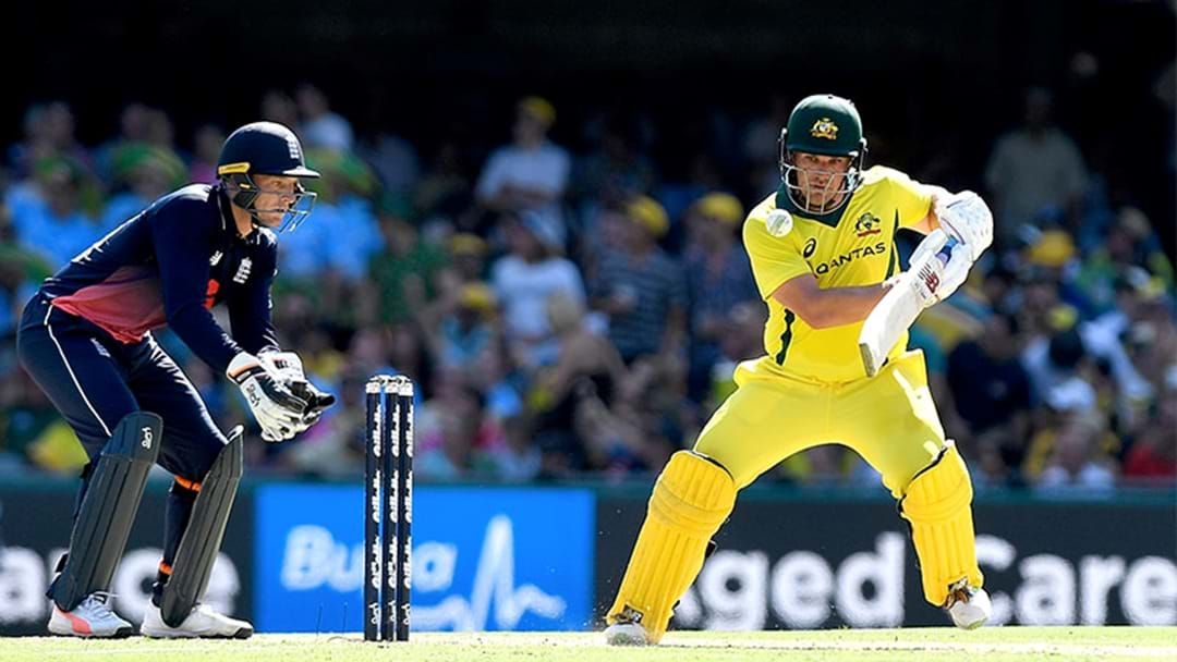 Article heading image for Aaron Finch Ruled Out Of First T20 Against New Zealand With Injury