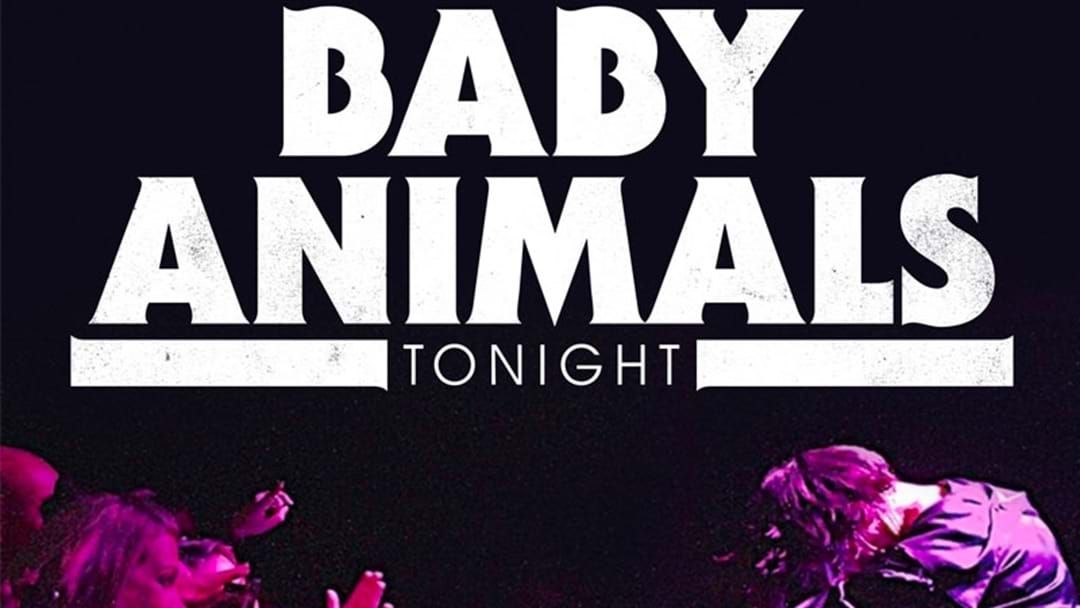 Article heading image for Baby Animals Released A New Track And It Rocking Rocks