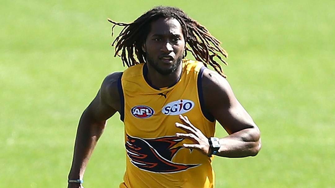 Article heading image for Gaff Drops Some Naitanui News