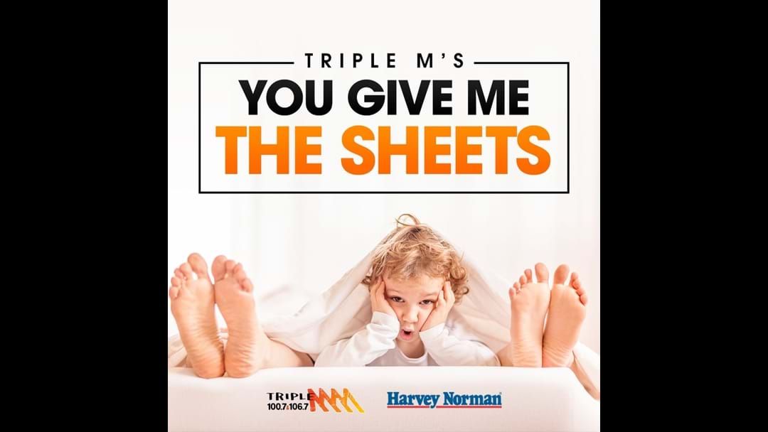 Article heading image for 'Princess' our first entrant in 'You Give Me The Sheets' thanks to Harvey Norman Port Macquarie, your bedding Superstore