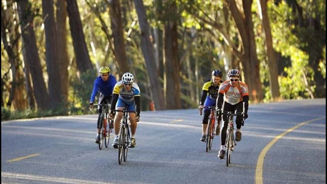 Article heading image for Cyclists Are Rolling In For The Tour Of Gippsland This Week