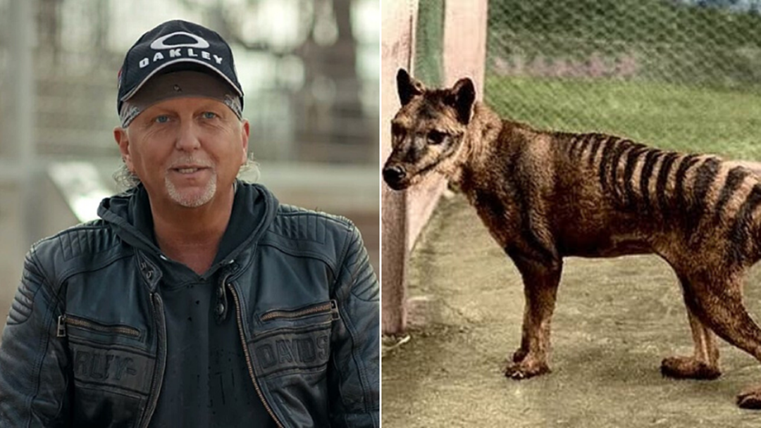 Article heading image for Tiger King's Jeff Lowe Thinks The Tasmanian Tiger Still Exists 