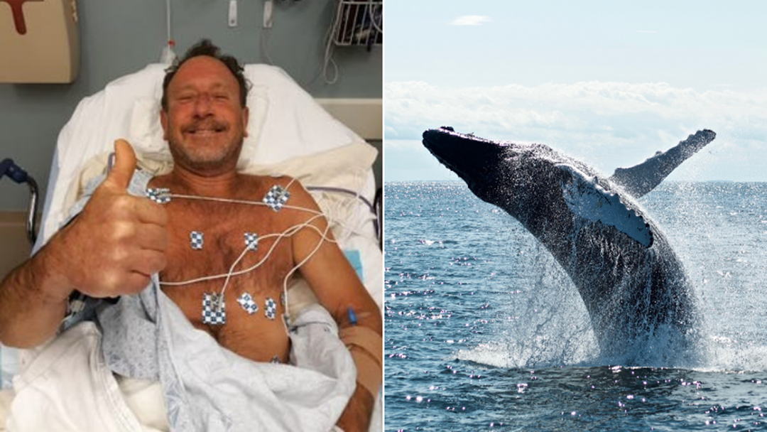 A Man Got Swallowed By A Whale & Made It Out Alive, So How Was Your
