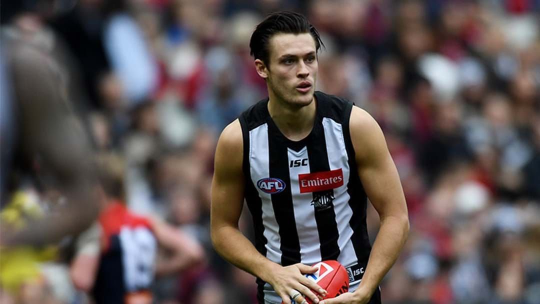 Article heading image for Darcy Moore Close To Signing An Extension With Collingwood 