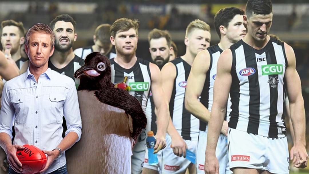 Article heading image for Howie's Son's Foolproof Plan To Fix Collingwood