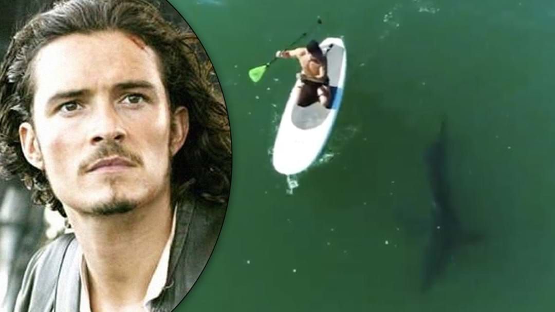 Article heading image for Orlando Bloom's Great White Shark Encounter