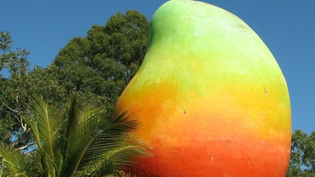 Article heading image for A Local Brewery Is Considering A Mango Beer
