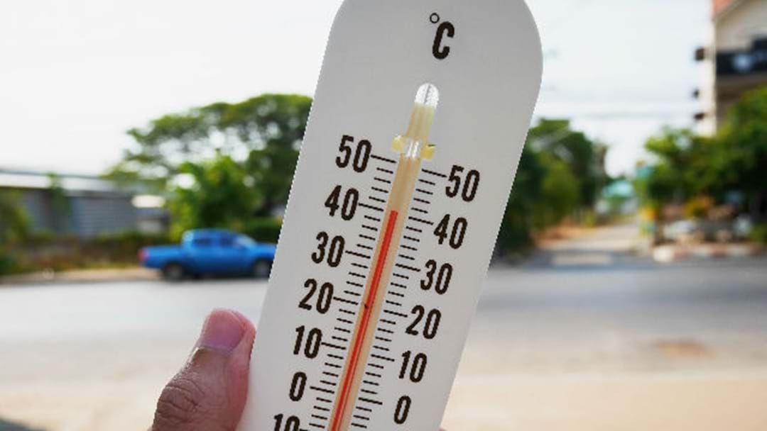Article heading image for CAIRNS HEATWAVE SET TO BREAK RECORDS