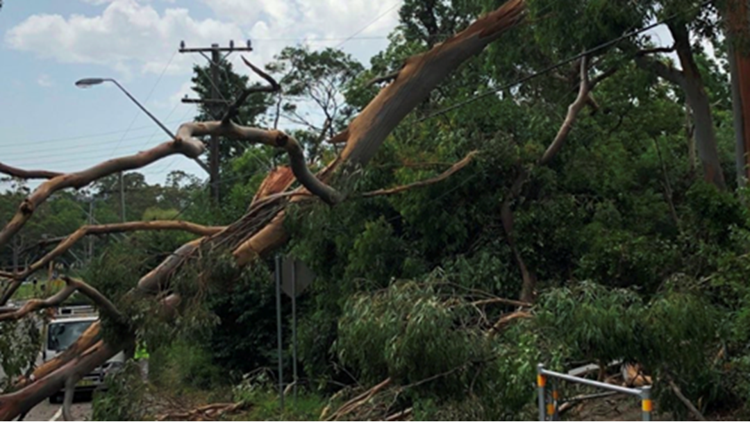 Article heading image for More Than 10,000 Homes Still Without Power As The Sydney Storm Clean-Up Continues