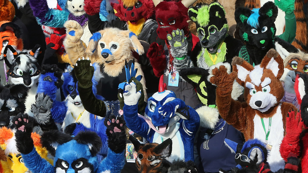 Article heading image for WTF WEDNESDAY: We Chat To A Furry To Find Out What It's All About