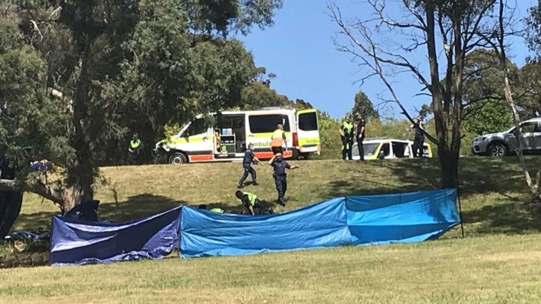 Article heading image for UPDATED: Police Confirm Four Dead In Jumping Castle Tragedy