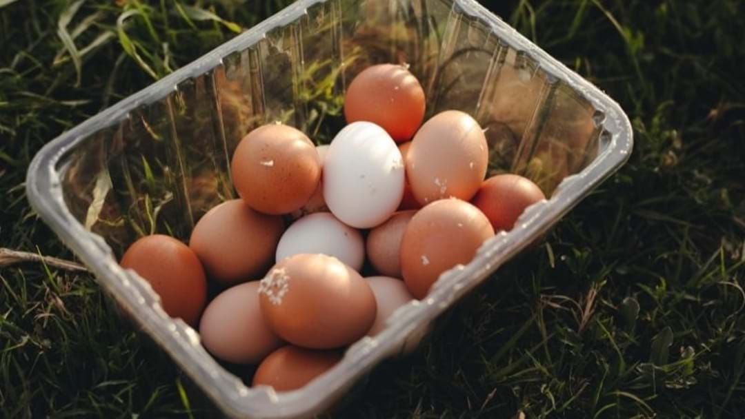 Article heading image for Tasmanian Supermarkets Face Egg Shortage With Prices Predicted To Rise