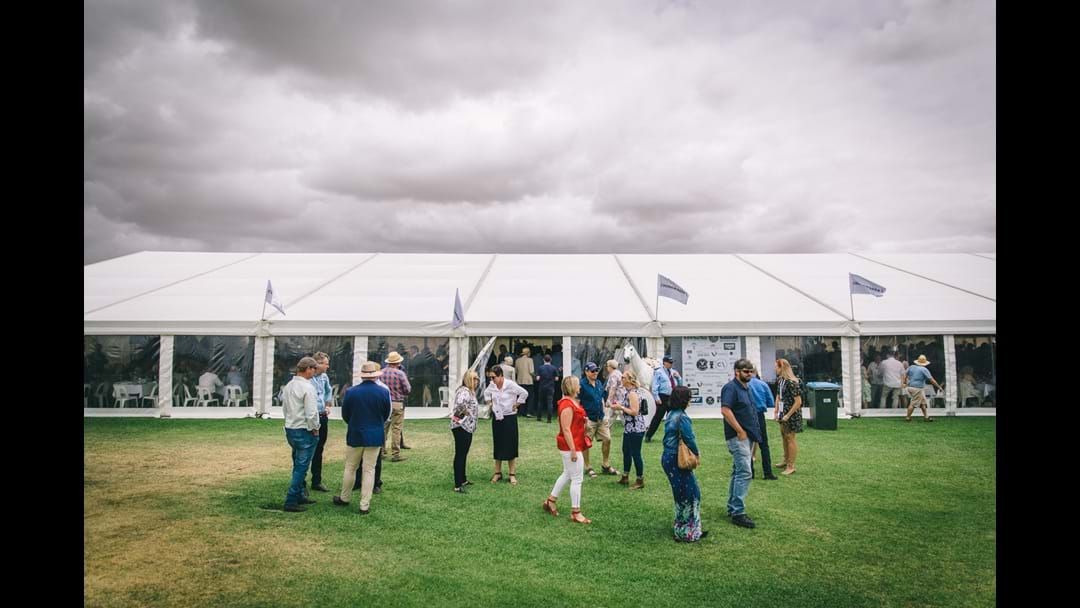 Article heading image for Coonawarra Vignerons Cup Marquee Scratched for 2021 Race Day
