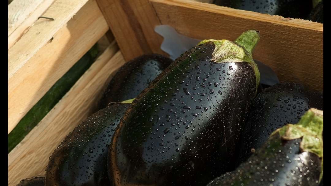 Article heading image for Man Accused Of Murder Blames Rogue Eggplant For Firing Gun