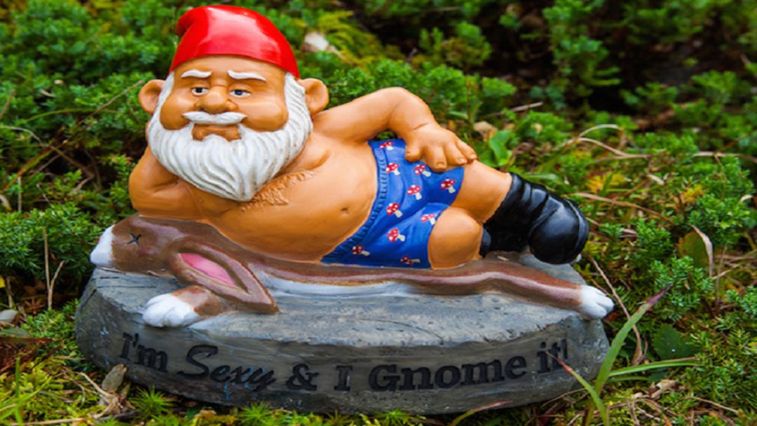 Article heading image for Radio Super Fan Has Turned 4TO FM Announcers Into Gnomes 