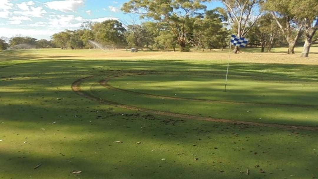 Article heading image for Vandals Rip Up Cootamundra Golf Course