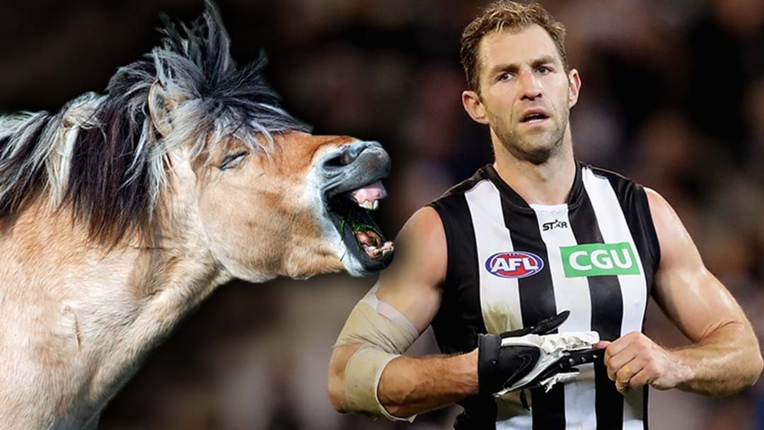 Article heading image for Eddie McGuire’s Hilarious Story About How A Horse Interrupted Collingwood Signing Travis Cloke