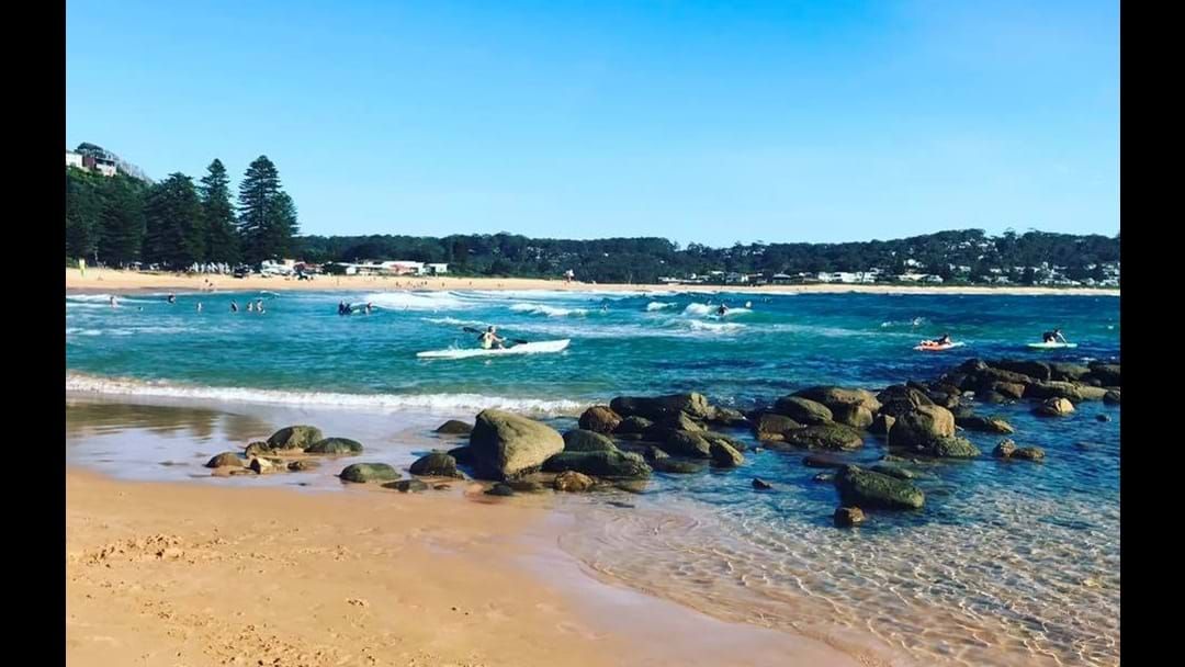 Article heading image for Avoca Beach Revamp About To Start