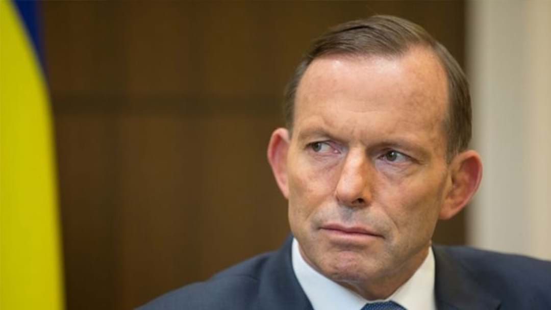 Article heading image for Tassie Bloke Pleads Guilty To Headbutting Tony Abbott