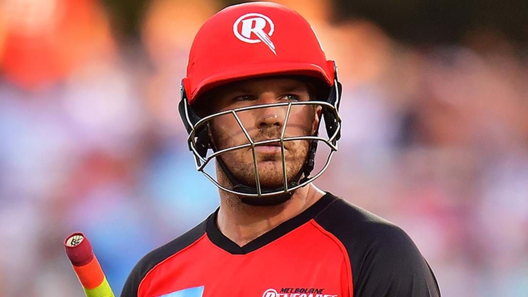 Article heading image for Melbourne Renegades Cop Massive Fine After Gabba Win