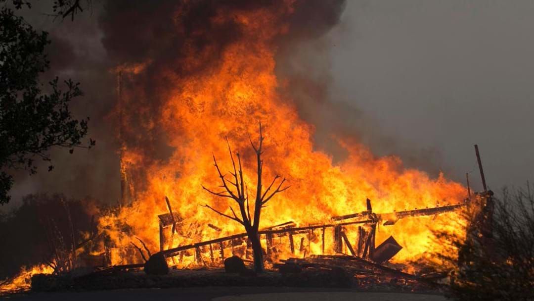 Article heading image for At Least 17 People Dead In Devastating California Forest Fires
