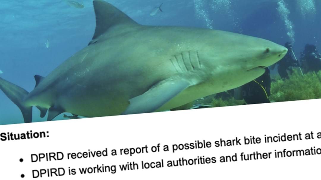 Article heading image for BREAKING: Possible Shark Attack Incident In Bicton