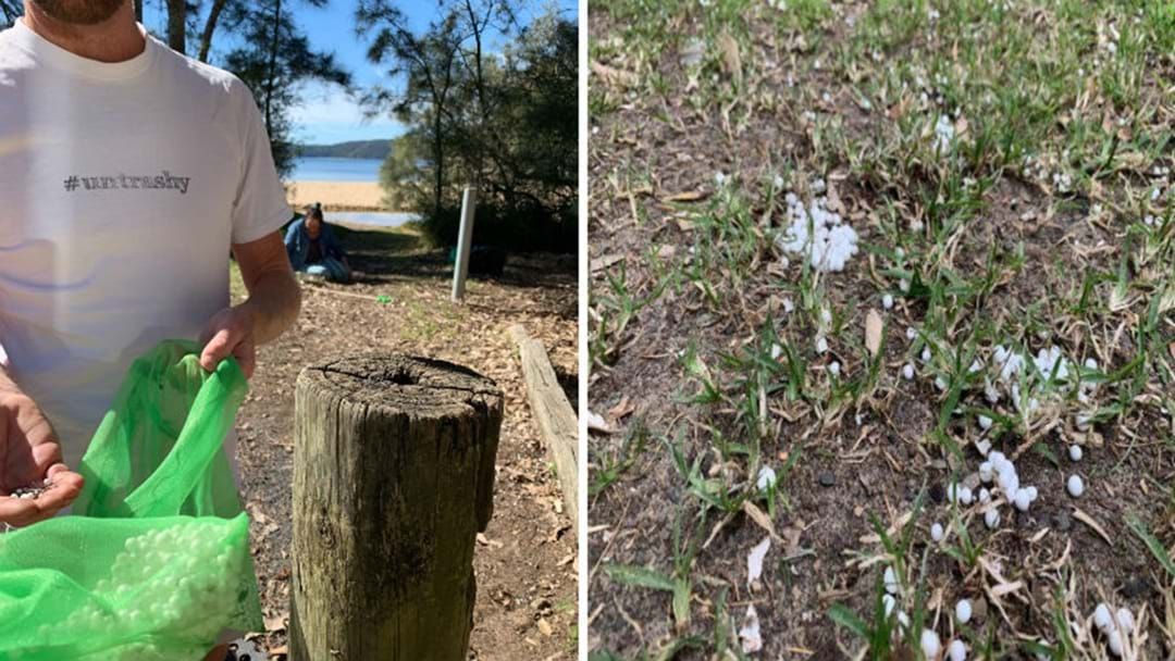 Article heading image for Environmental Concerns After Thousands Of Polystyrene Balls Found At Pearl Beach 