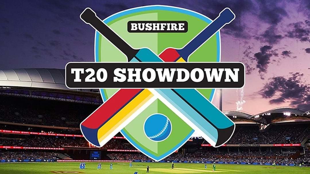 Article heading image for Adelaide And Port Are Putting Together A T20 Cricket Match At Adelaide Oval For Bushfire Charity