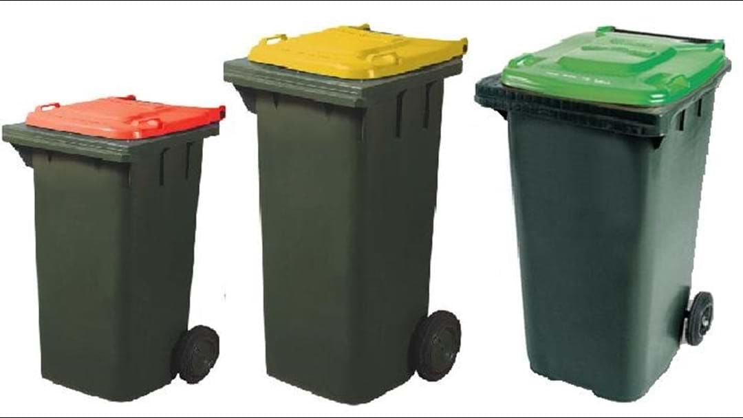 Article heading image for Council says Wagga's new bin system is working, one year on